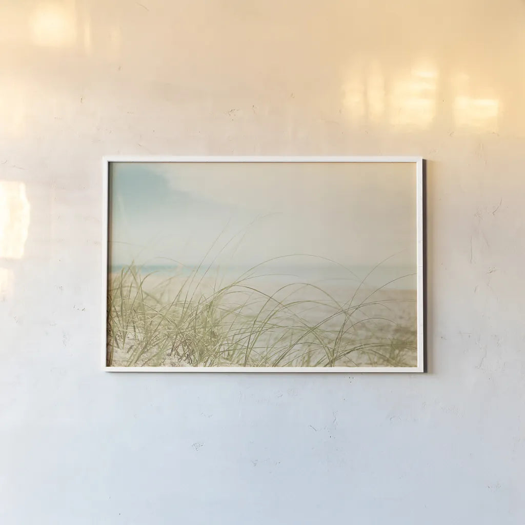 Beach Grass V Light by Elizabeth Urquhart. shown as a paper print in a white frame. Available as a archival giclee rolled canvas, fine art paper, or poster print. SKU 71694i.