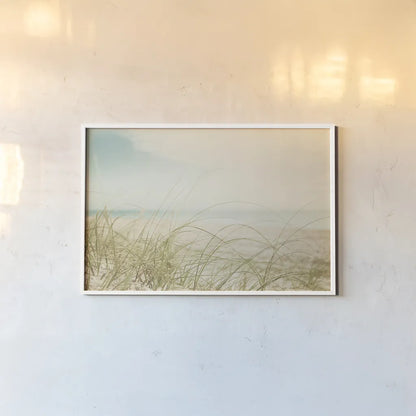 Beach Grass V Light by Elizabeth Urquhart. shown as a paper print in a white frame. Available as a archival giclee rolled canvas, fine art paper, or poster print. SKU 71694i.