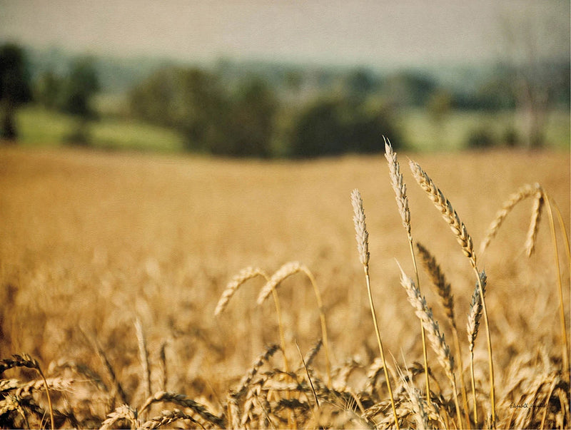 Blissful Country I by Elizabeth Urquhart