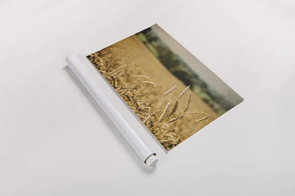 Blissful Country I by Elizabeth Urquhart. shown as a rolled paper print. Available as archival giclee rolled canvas, fine art paper, or poster print. SKU 23774i.