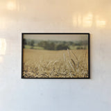 Blissful Country I by Elizabeth Urquhart. shown as a paper print in a black flame. Available as a archival giclee rolled canvas, fine art paper, or poster print. SKU 23774i.