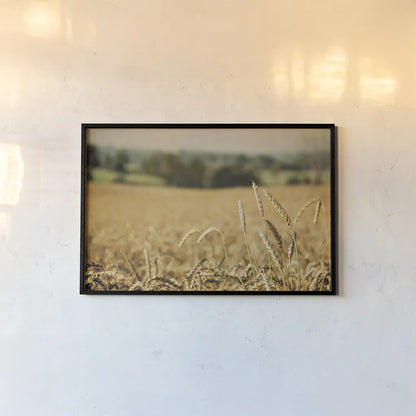 Blissful Country I by Elizabeth Urquhart. shown as a paper print in a black flame. Available as a archival giclee rolled canvas, fine art paper, or poster print. SKU 23774i.