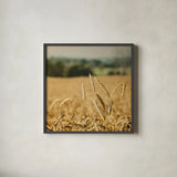 Blissful Country I Crop by Elizabeth Urquhart. Shown in a sleek black glass frame for a contemporary gallery look. Available as an archival giclee rolled canvas, fine art paper, or poster print. SKU 23774a.