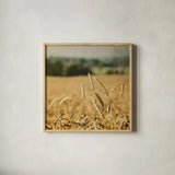 Blissful Country I Crop by Elizabeth Urquhart. Shown in a natural wood glass frame for a timeless modern aesthetic. Available as an archival giclee rolled canvas, fine art paper, or poster print. SKU 23774a.