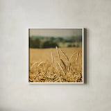 Blissful Country I Crop by Elizabeth Urquhart. Shown in a crisp white glass frame for a clean and minimalist style. Available as an archival giclee rolled canvas, fine art paper, or poster print. SKU 23774a.