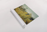Blissful Country IV by Elizabeth Urquhart. shown as a rolled paper print. Available as archival giclee rolled canvas, fine art paper, or poster print. SKU 23777i.