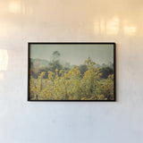 Blissful Country IV by Elizabeth Urquhart. shown as a paper print in a black flame. Available as a archival giclee rolled canvas, fine art paper, or poster print. SKU 23777i.