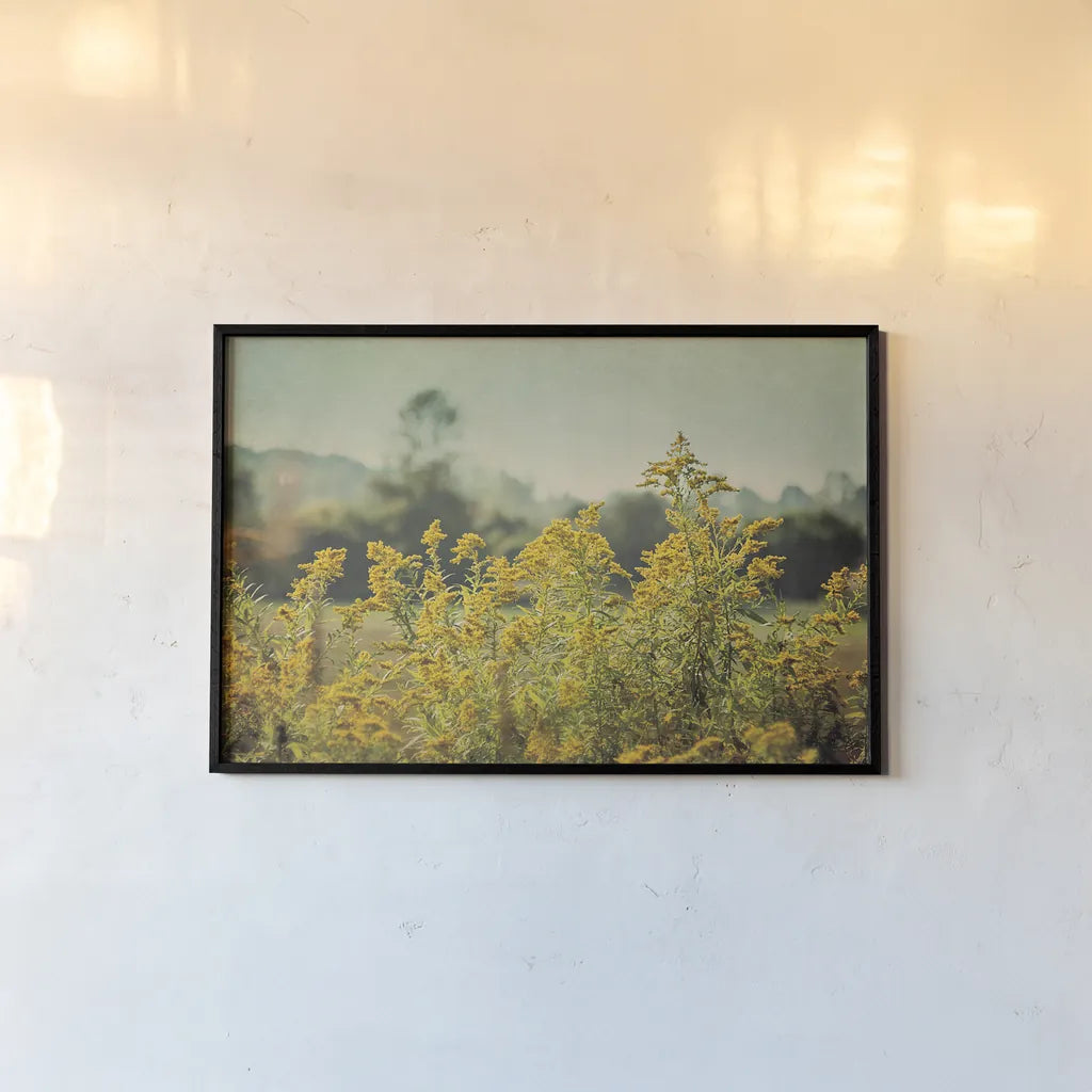 Blissful Country IV by Elizabeth Urquhart. shown as a paper print in a black flame. Available as a archival giclee rolled canvas, fine art paper, or poster print. SKU 23777i.