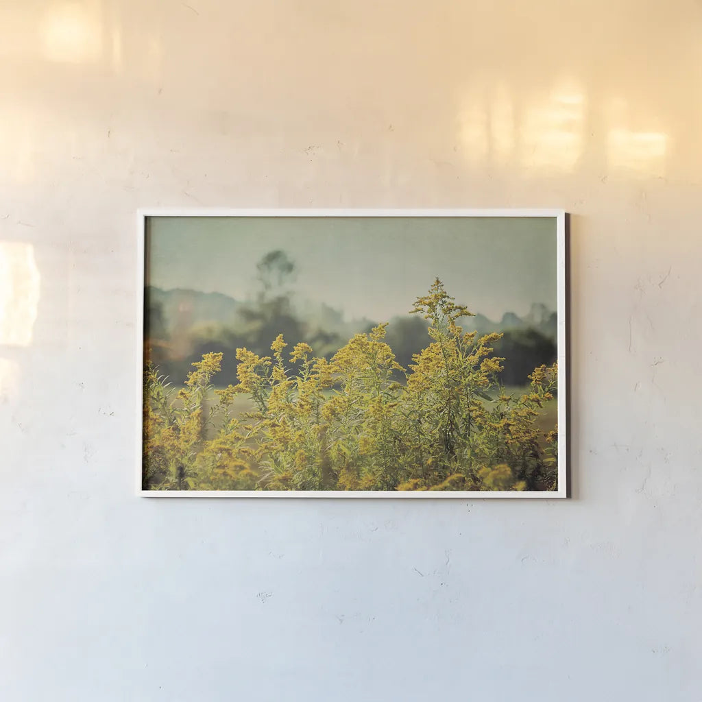 Blissful Country IV by Elizabeth Urquhart. shown as a paper print in a white frame. Available as a archival giclee rolled canvas, fine art paper, or poster print. SKU 23777i.