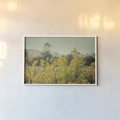 Blissful Country IV by Elizabeth Urquhart. shown as a paper print in a white frame. Available as a archival giclee rolled canvas, fine art paper, or poster print. SKU 23777i.