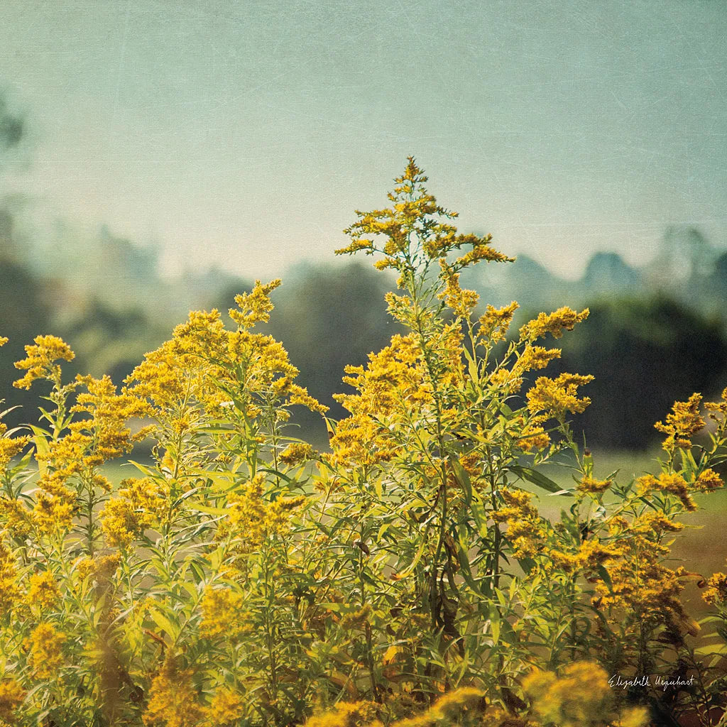 Blissful Country IV Crop by Elizabeth Urquhart. SKU 23777a. Archival Giclee Fine art print for wall decor.