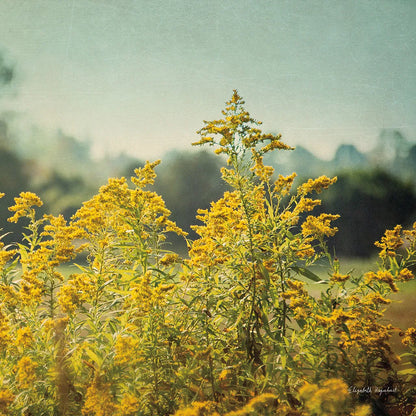 Blissful Country IV Crop by Elizabeth Urquhart. SKU 23777a. Archival Giclee Fine art print for wall decor.