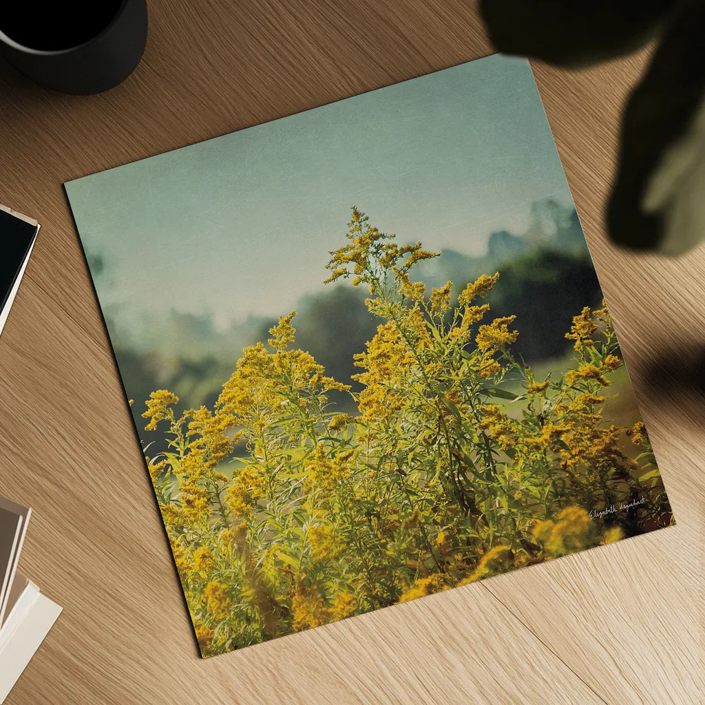 Blissful Country IV Crop by Elizabeth Urquhart. Shown as a detailed flat fine art print, highlighting archival giclee quality. Available as an archival giclee rolled canvas, fine art paper, or poster print. SKU 23777a.