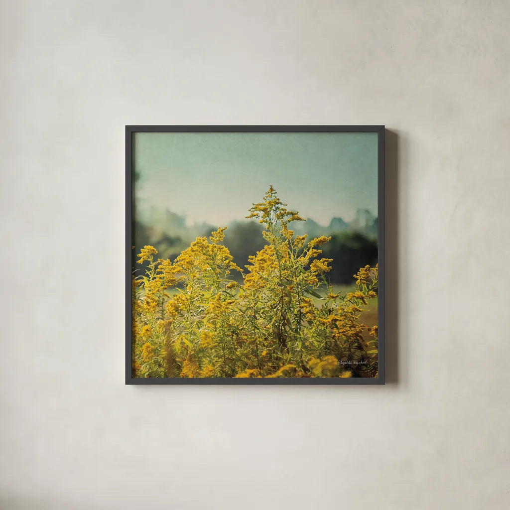 Blissful Country IV Crop by Elizabeth Urquhart. Shown in a sleek black glass frame for a contemporary gallery look. Available as an archival giclee rolled canvas, fine art paper, or poster print. SKU 23777a.