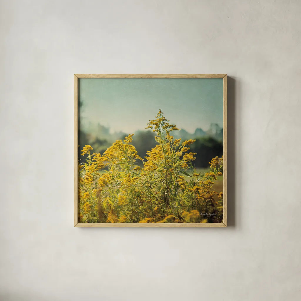 Blissful Country IV Crop by Elizabeth Urquhart. Shown in a natural wood glass frame for a timeless modern aesthetic. Available as an archival giclee rolled canvas, fine art paper, or poster print. SKU 23777a.