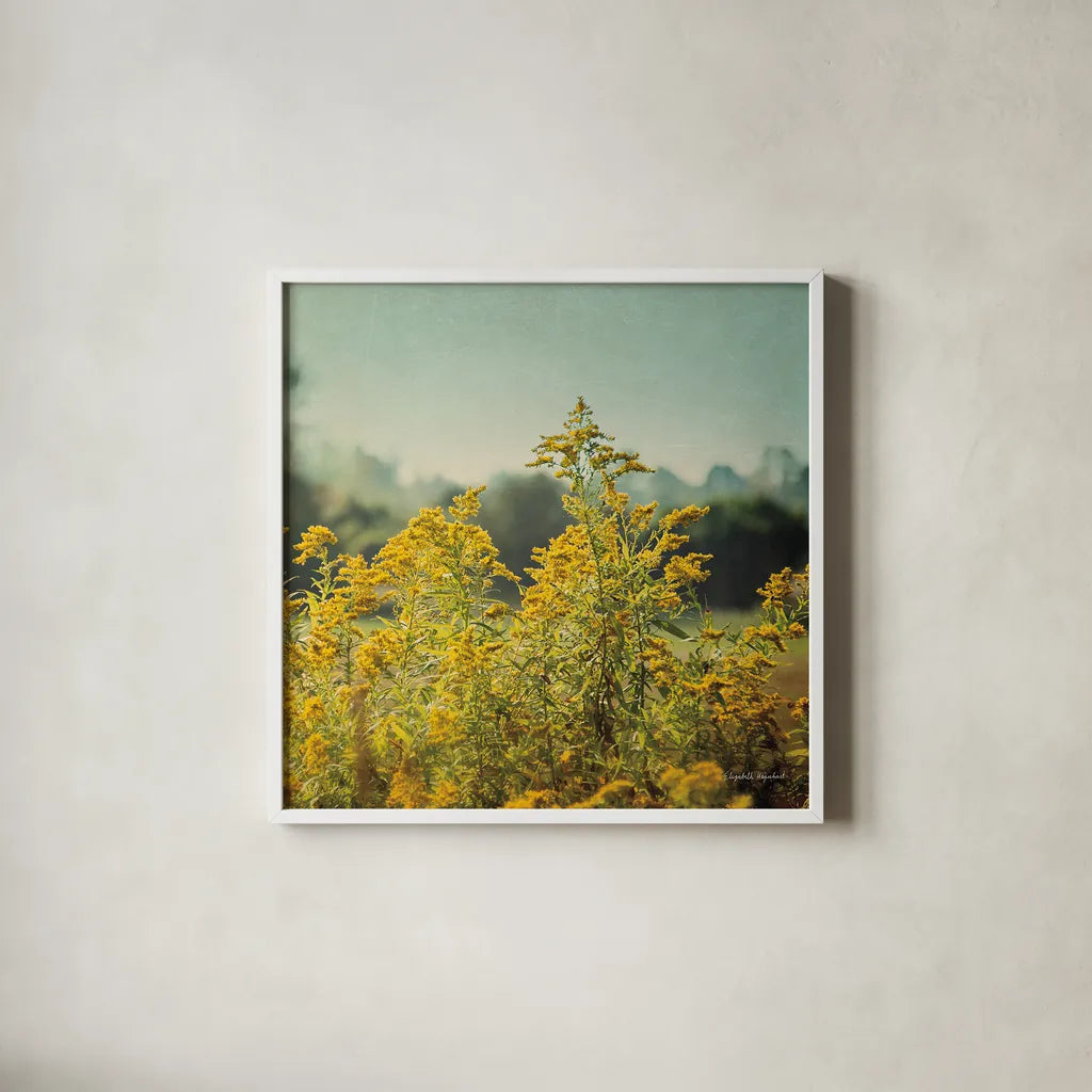 Blissful Country IV Crop by Elizabeth Urquhart. Shown in a crisp white glass frame for a clean and minimalist style. Available as an archival giclee rolled canvas, fine art paper, or poster print. SKU 23777a.