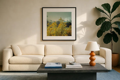 Blissful Country IV Crop by Elizabeth Urquhart. Displayed in a glass frame with matte in a clean modern living room. Available as an archival giclee rolled canvas, fine art paper, or poster print. SKU 23777a.