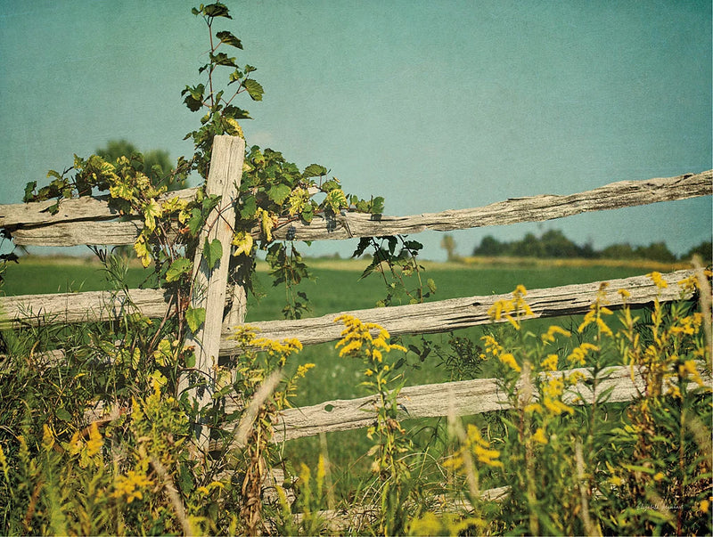 Blissful Country V by Elizabeth Urquhart