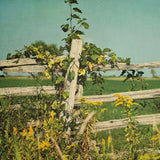 Blissful Country V Crop by Elizabeth Urquhart. SKU 23778a. Archival Giclee Fine art print for wall decor.