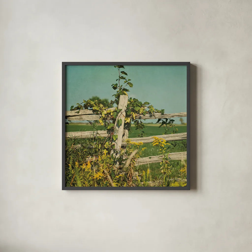 Blissful Country V Crop by Elizabeth Urquhart. Shown in a sleek black glass frame for a contemporary gallery look. Available as an archival giclee rolled canvas, fine art paper, or poster print. SKU 23778a.