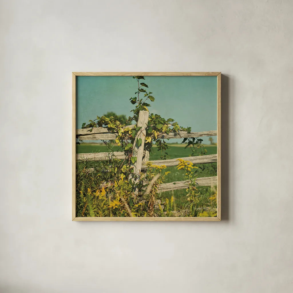 Blissful Country V Crop by Elizabeth Urquhart. Shown in a natural wood glass frame for a timeless modern aesthetic. Available as an archival giclee rolled canvas, fine art paper, or poster print. SKU 23778a.