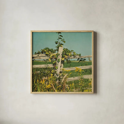 Blissful Country V Crop by Elizabeth Urquhart. Shown in a natural wood glass frame for a timeless modern aesthetic. Available as an archival giclee rolled canvas, fine art paper, or poster print. SKU 23778a.