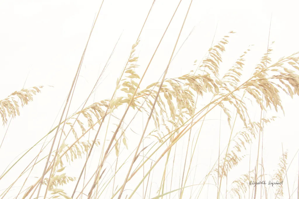 Blowing in the Wind I by Elizabeth Urquhart. SKU 74444i. Archival Giclee Fine art print for wall decor.