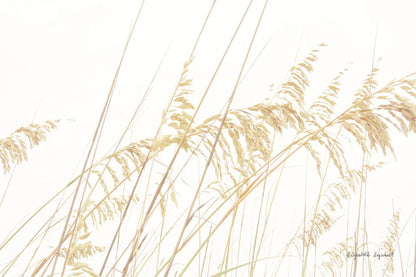 Blowing in the Wind I by Elizabeth Urquhart. SKU 74444i. Archival Giclee Fine art print for wall decor.