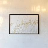 Blowing in the Wind I by Elizabeth Urquhart. shown as a paper print in a black flame. Available as a archival giclee rolled canvas, fine art paper, or poster print. SKU 74444i.