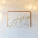 Blowing in the Wind I by Elizabeth Urquhart. shown as a paper print in a natural frame. Available as a archival giclee rolled canvas, fine art paper, or poster print. SKU 74444i.