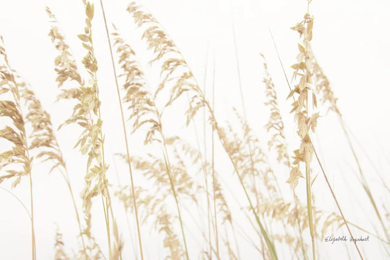Blowing in the Wind II by Elizabeth Urquhart. SKU 74445i. Archival Giclee Fine art print for wall decor.
