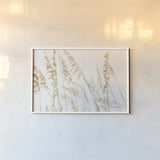 Blowing in the Wind II by Elizabeth Urquhart. shown as a paper print in a white frame. Available as a archival giclee rolled canvas, fine art paper, or poster print. SKU 74445i.