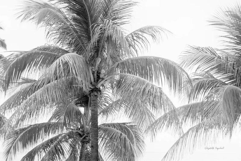 Breezy I by Elizabeth Urquhart. SKU 50751i. Archival Giclee Fine art print for wall decor.