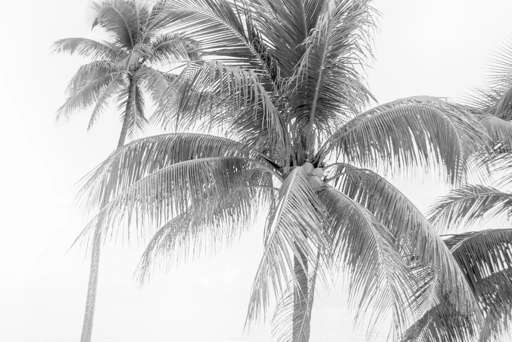 Breezy II by Elizabeth Urquhart. SKU 50752i. Archival Giclee Fine art print for wall decor.