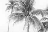 Breezy II by Elizabeth Urquhart. SKU 50752i. Archival Giclee Fine art print for wall decor.