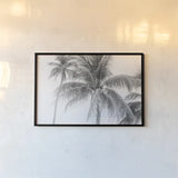 Breezy II by Elizabeth Urquhart. shown as a paper print in a black flame. Available as a archival giclee rolled canvas, fine art paper, or poster print. SKU 50752i.