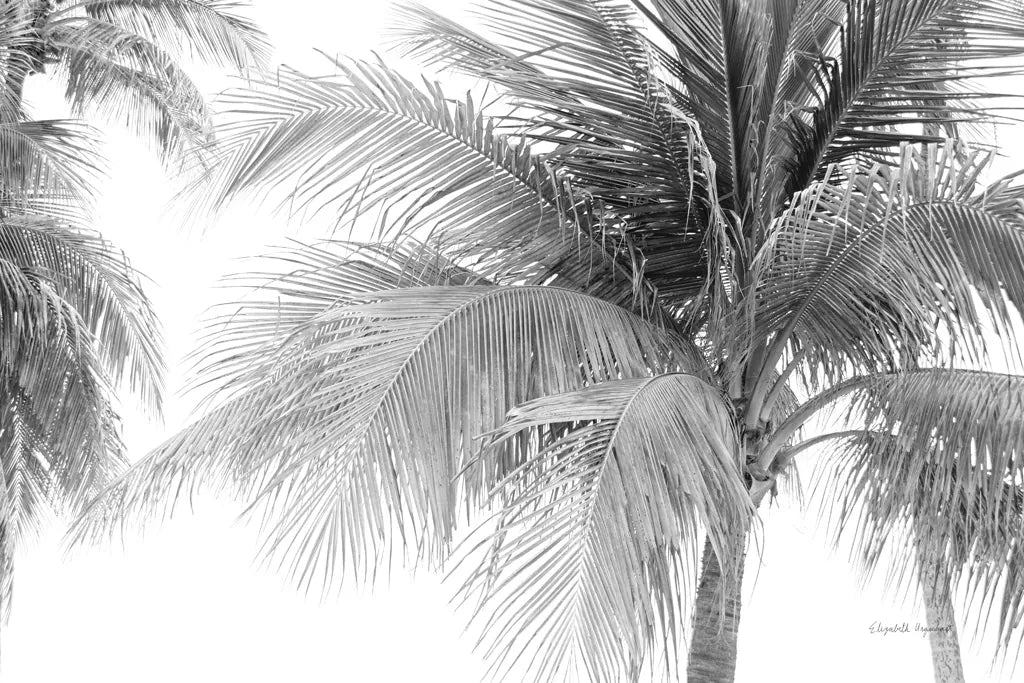 Breezy III by Elizabeth Urquhart. SKU 50753i. Archival Giclee Fine art print for wall decor.