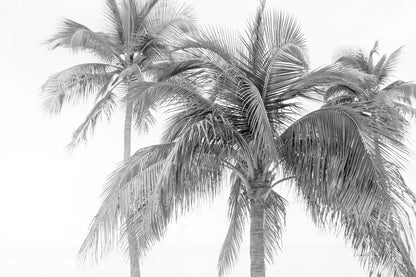 Breezy IV by Elizabeth Urquhart. SKU 50754i. Archival Giclee Fine art print for wall decor.