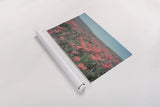 California Blooms I by Elizabeth Urquhart. shown as a rolled paper print. Available as archival giclee rolled canvas, fine art paper, or poster print. SKU 50745i.