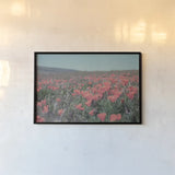 California Blooms I by Elizabeth Urquhart. shown as a paper print in a black flame. Available as a archival giclee rolled canvas, fine art paper, or poster print. SKU 50745i.