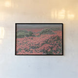 California Blooms II by Elizabeth Urquhart. shown as a paper print in a black flame. Available as a archival giclee rolled canvas, fine art paper, or poster print. SKU 50746i.