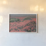 California Blooms II by Elizabeth Urquhart. shown as a paper print in a white frame. Available as a archival giclee rolled canvas, fine art paper, or poster print. SKU 50746i.