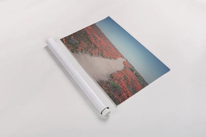 California Blooms IV by Elizabeth Urquhart. shown as a rolled paper print. Available as archival giclee rolled canvas, fine art paper, or poster print. SKU 50748i.