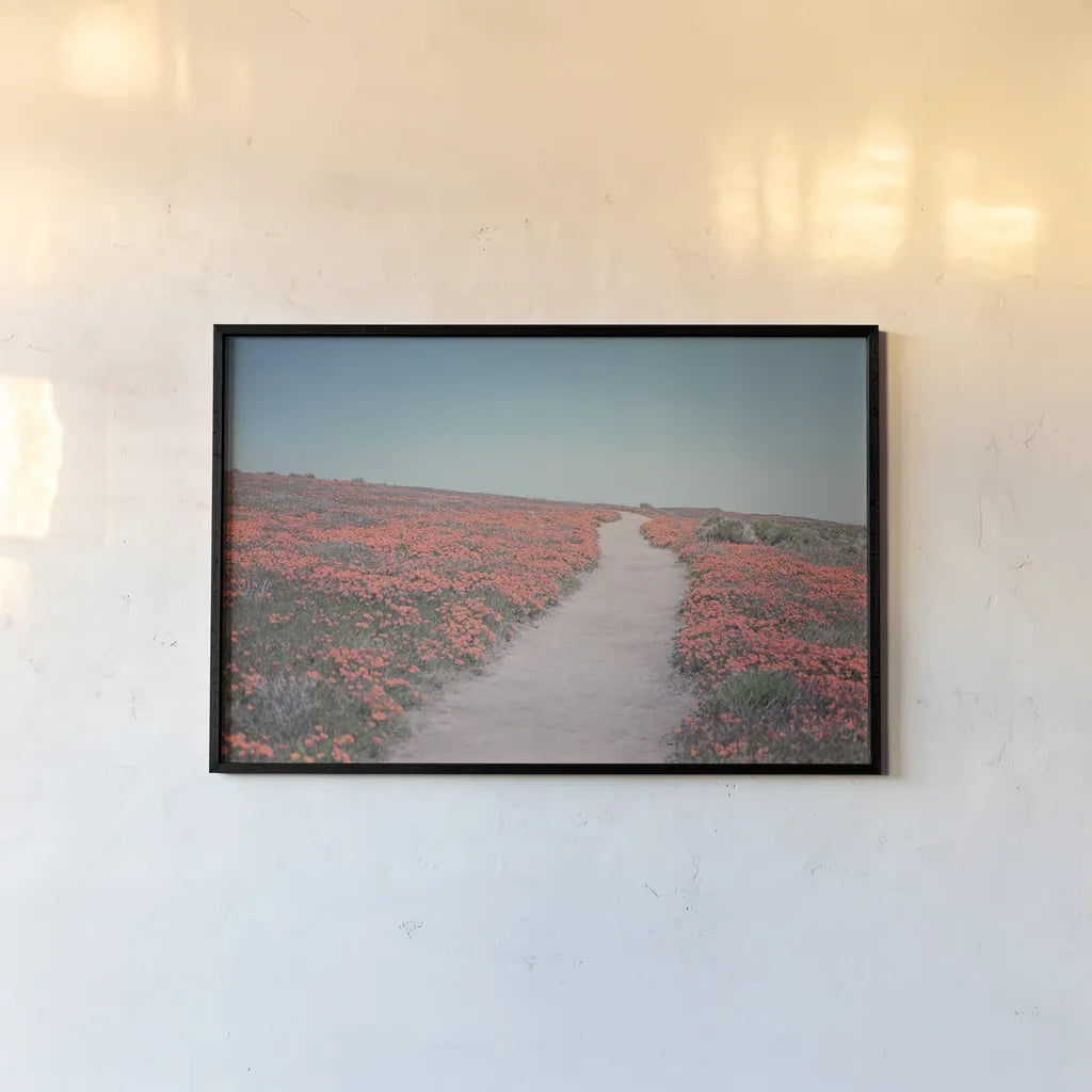 California Blooms IV by Elizabeth Urquhart. shown as a paper print in a black flame. Available as a archival giclee rolled canvas, fine art paper, or poster print. SKU 50748i.