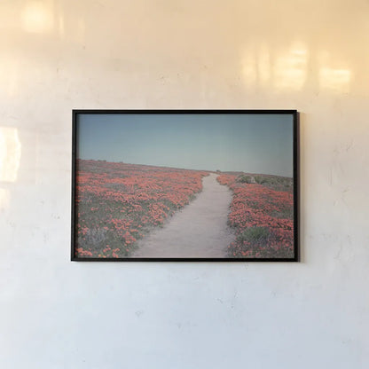 California Blooms IV by Elizabeth Urquhart. shown as a paper print in a black flame. Available as a archival giclee rolled canvas, fine art paper, or poster print. SKU 50748i.