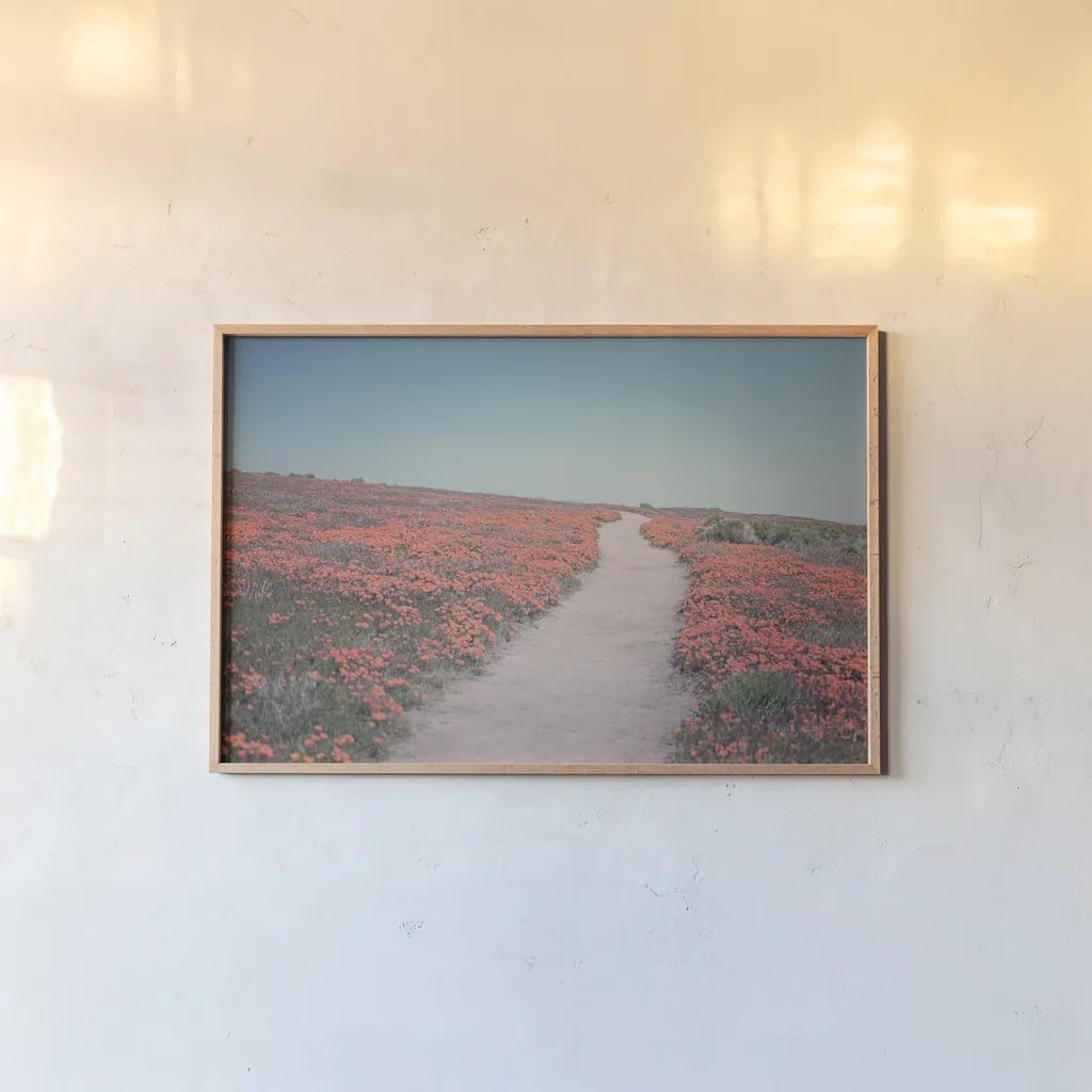 California Blooms IV by Elizabeth Urquhart. shown as a paper print in a natural frame. Available as a archival giclee rolled canvas, fine art paper, or poster print. SKU 50748i.