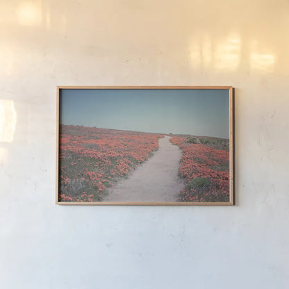 California Blooms IV by Elizabeth Urquhart. shown as a paper print in a natural frame. Available as a archival giclee rolled canvas, fine art paper, or poster print. SKU 50748i.