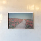 California Blooms IV by Elizabeth Urquhart. shown as a paper print in a white frame. Available as a archival giclee rolled canvas, fine art paper, or poster print. SKU 50748i.