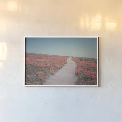 California Blooms IV by Elizabeth Urquhart. shown as a paper print in a white frame. Available as a archival giclee rolled canvas, fine art paper, or poster print. SKU 50748i.