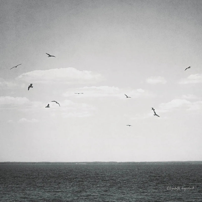 Calm Days IV BW Crop by Elizabeth Urquhart. SKU 27842a. Archival Giclee Fine art print for wall decor.